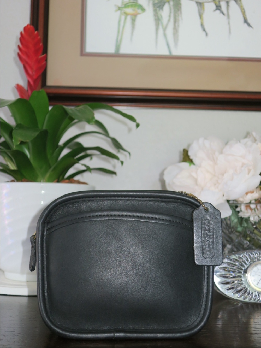 Coach Hadley bag #9935